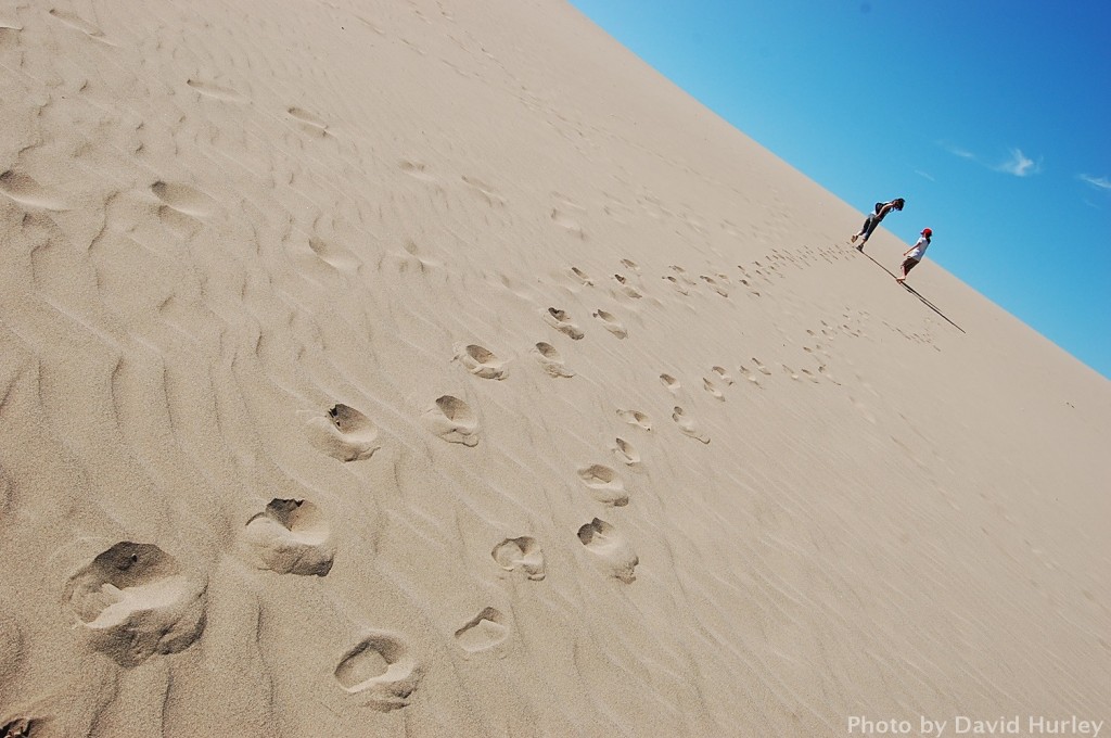 Tottori sand dune