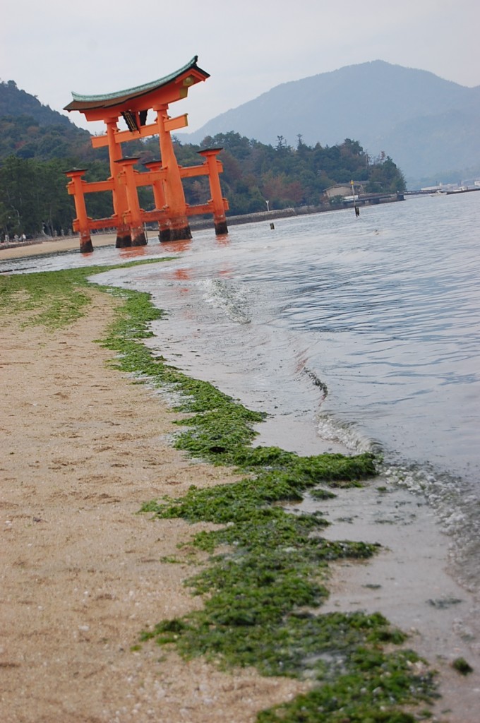 Itsukushima shrine gate