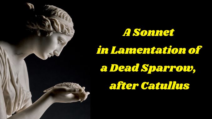 CatullusSparrowSonnet