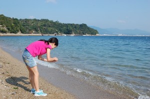 collecting seashells while camping on Miyajima